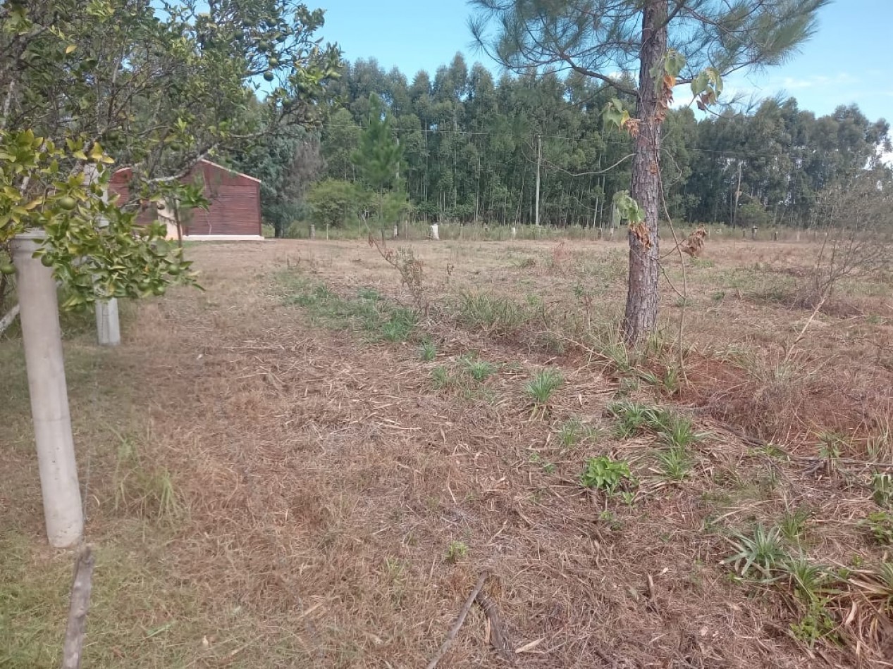 Lote en venta en Federacion Entre Rios