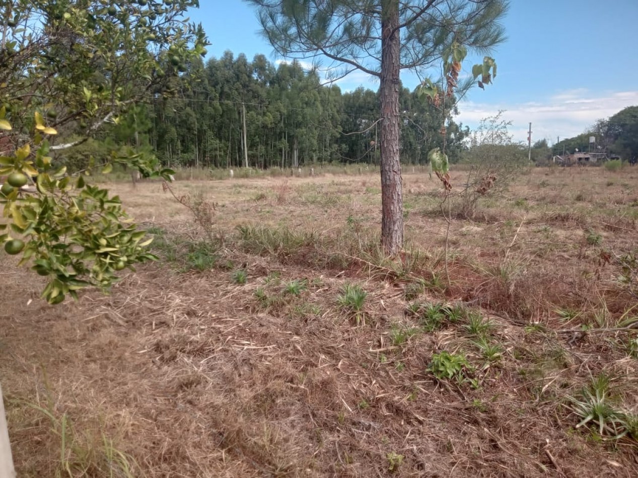 Lote en venta en Federacion Entre Rios