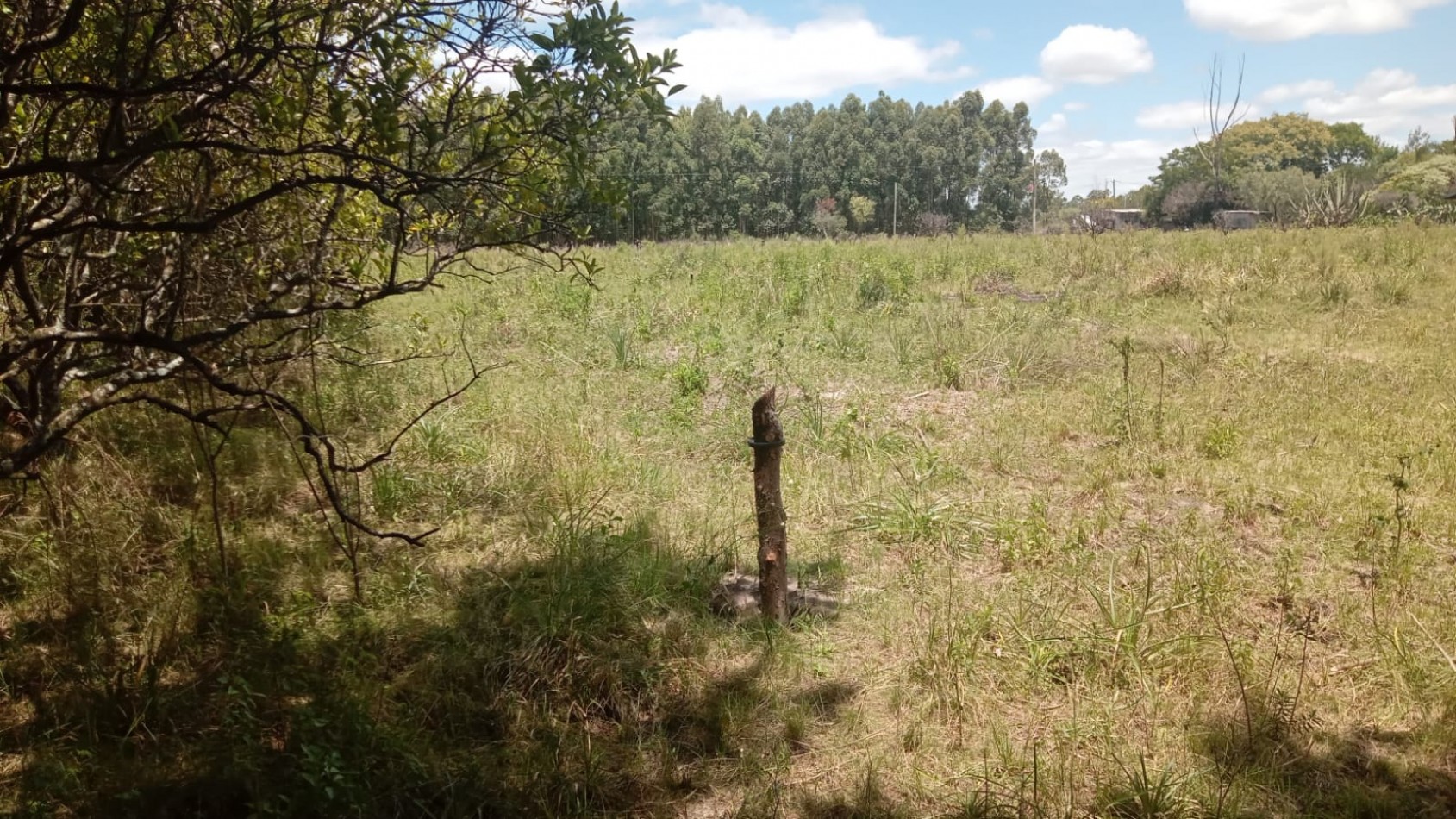 Lote en venta en Federacion Entre Rios