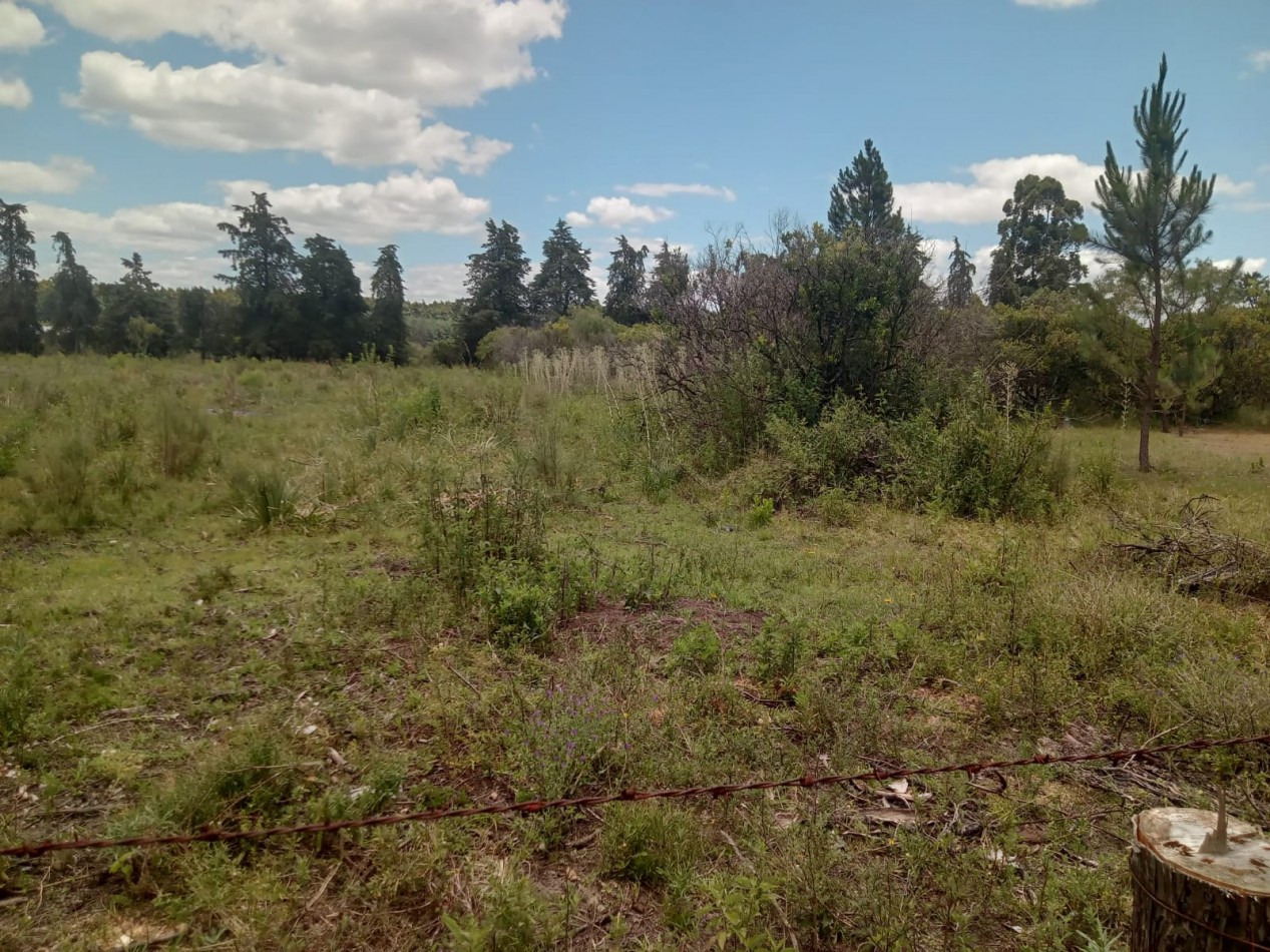 Lote en venta en Federacion Entre Rios