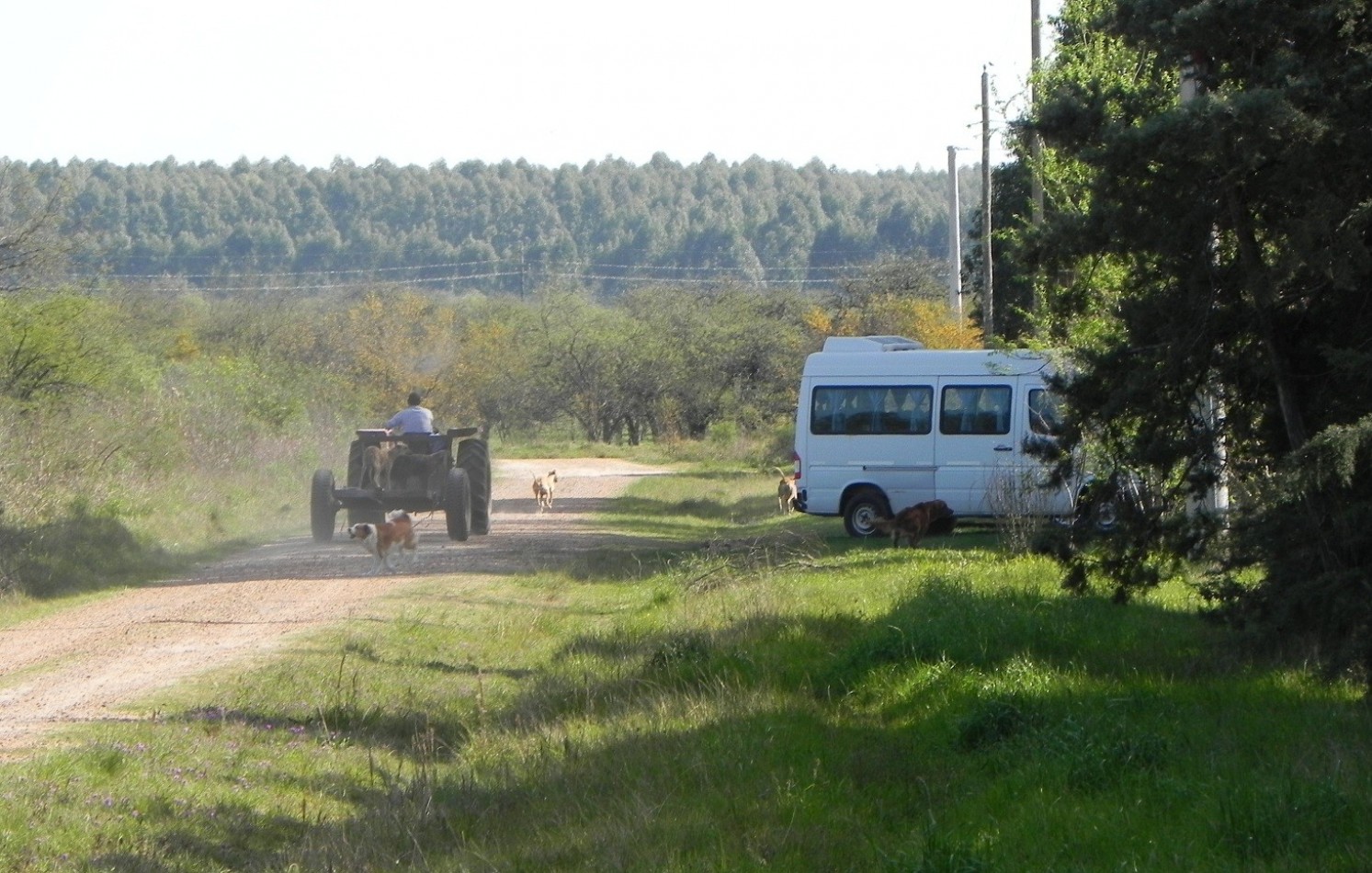 Lote en venta en Federacion Entre Rios